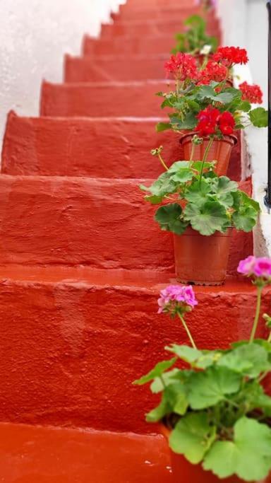 La Casa De Los Tiles Vélez Blanco Esterno foto